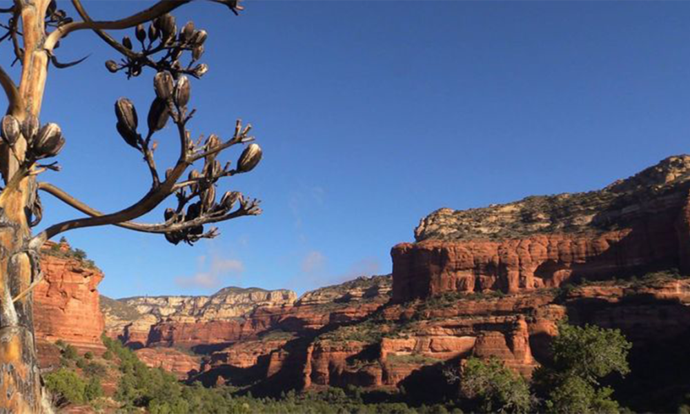 beautiful hiking viewpoint in boynton canyon sedona az