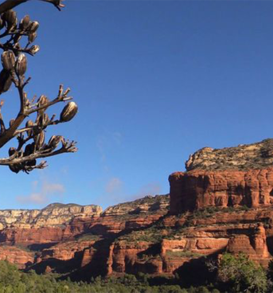 beautiful hiking viewpoint in boynton canyon sedona az