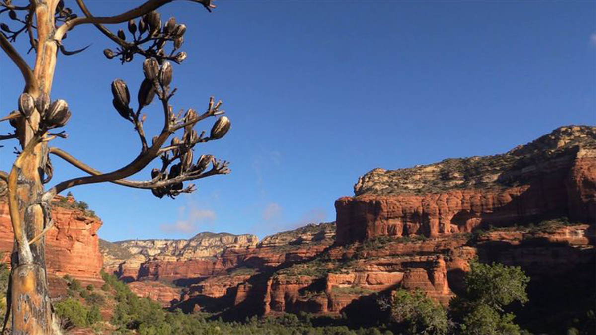 beautiful hiking viewpoint in boynton canyon sedona az